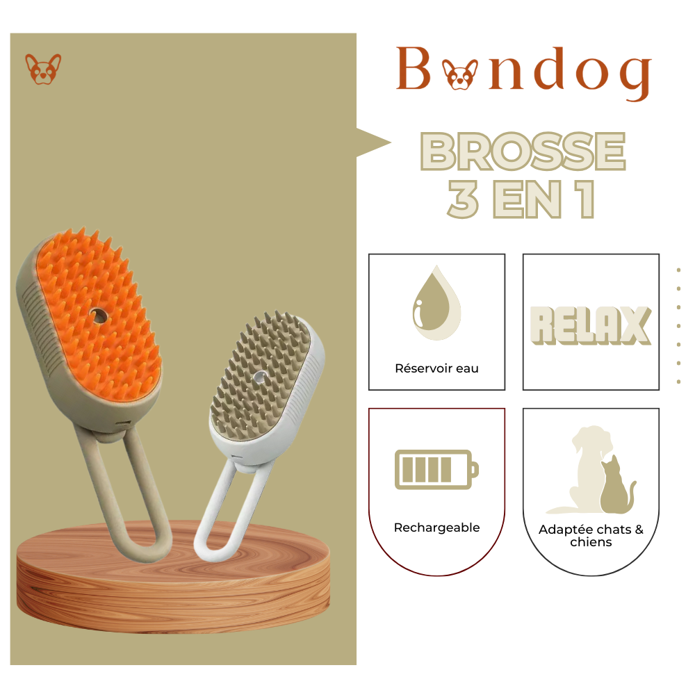 brossage, animaux, toilettage, brosse chien, brosse chat